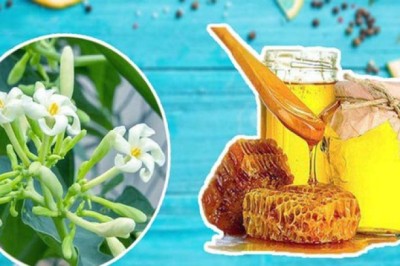 Hoa Đu Đủ Đực ngâm với Mật Ong có tác dụng gì
