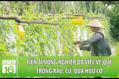 Tiến sĩ Nông nghiệp bỏ việc về quê trồng rau, củ, quả hữu cơ
