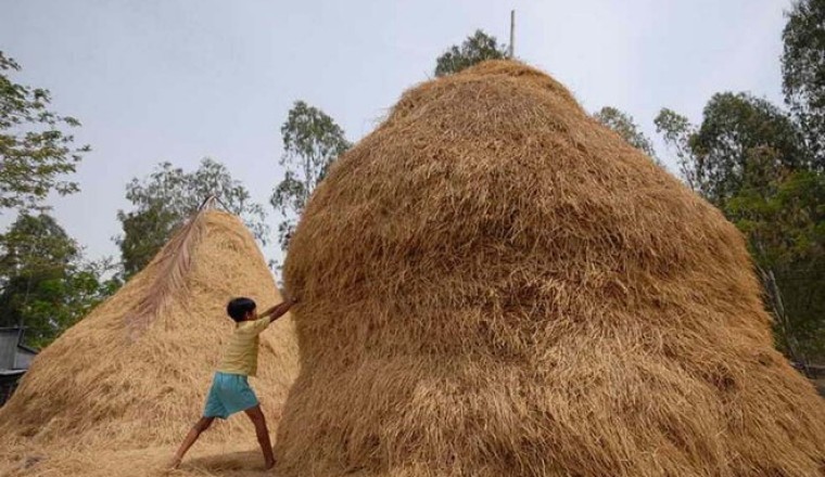 'Lý thuyết cọng rơm' và quy luật cuộc sống