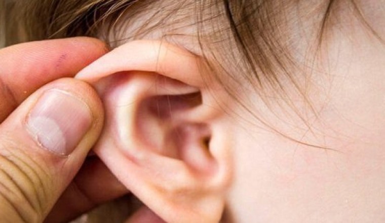 Bài thuốc đông y, bài thuốc nam điều trị viêm tai giữa