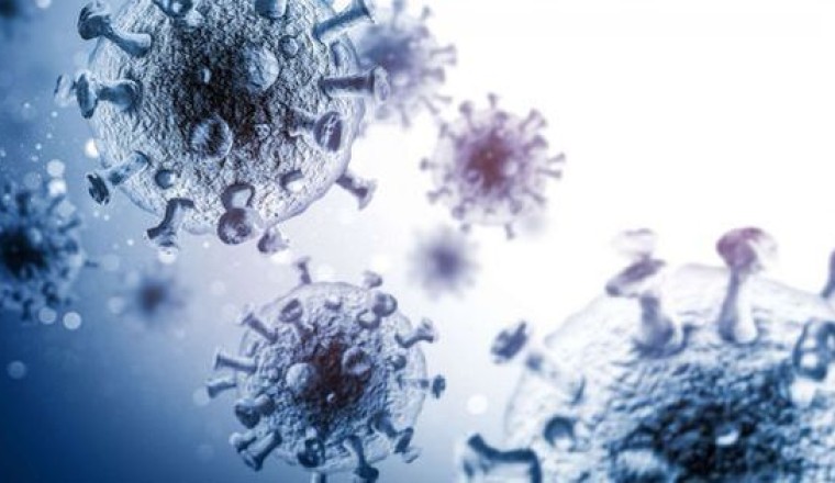 Nhà khoa học tìm ra loại siêu kháng thể có thể vô hiệu hóa HIV