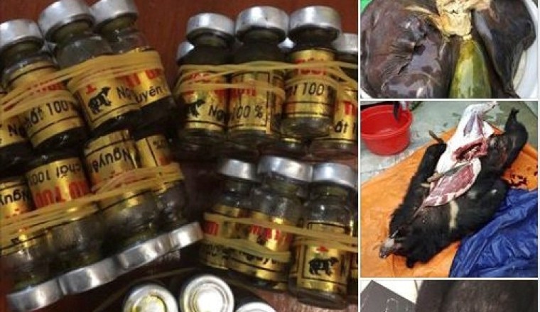 Phạt 70 triệu đồng người rao bán sản phẩm động vật hoang dã (Dược liệu Hà My)