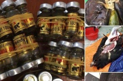 Phạt 70 triệu đồng người rao bán sản phẩm động vật hoang dã (Dược liệu Hà My)