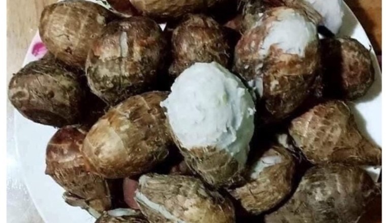 Công dụng của Khoai Sọ