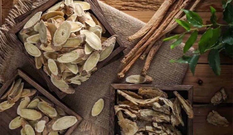 Đẳng sâm cùng Hoàng kỳ