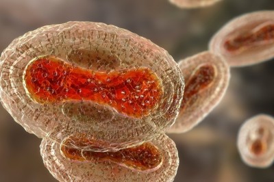 Đậu mùa khỉ ảnh hưởng thế nào đến trẻ em