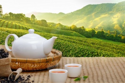 Uống trà giúp giảm nguy cơ mắc bệnh tiểu đường