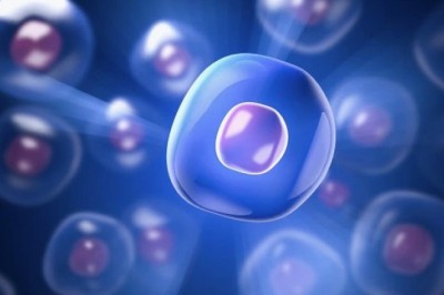 Nhóm nhà nghiên cứu Trung Quốc tuyên bố tìm ra thuốc kéo dài tuổi thọ