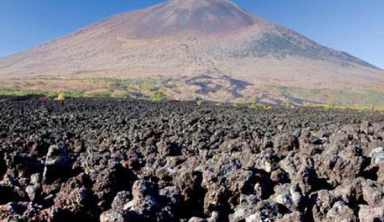 Đất nham thạch trong nông nghiệp Nhật Bản họ sử dụng để làm gì?