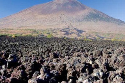 Đất nham thạch trong nông nghiệp Nhật Bản họ sử dụng để làm gì?