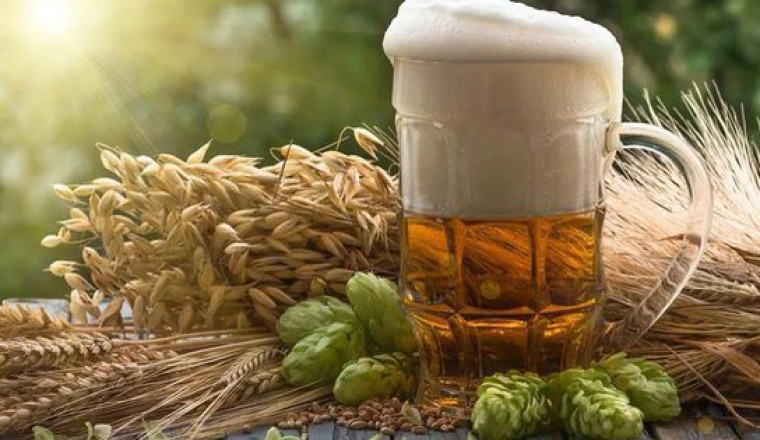 'Thần dược' trong ly bia bất ngờ chống được căn bệnh không thuốc chữa