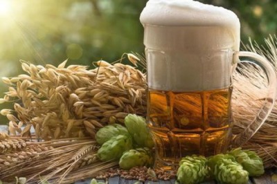 'Thần dược' trong ly bia bất ngờ chống được căn bệnh không thuốc chữa