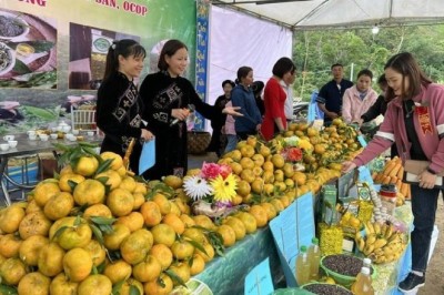 Bắc Kạn khai mạc Ngày hội cam, quýt