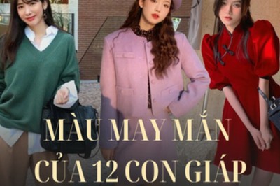 Màu sắc may mắn năm 2023 của 12 con giáp giúp khai thông tài vận, phú quý nhân đôi