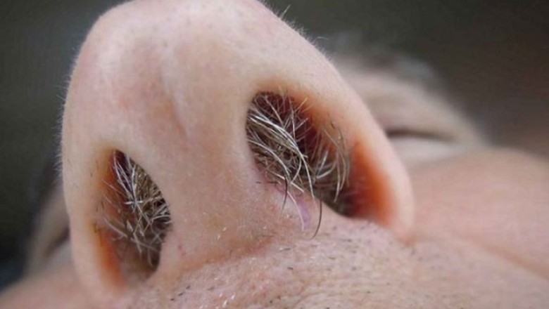 Lông mũi bạc báo hiệu điều gì về sức khỏe tuổi tác