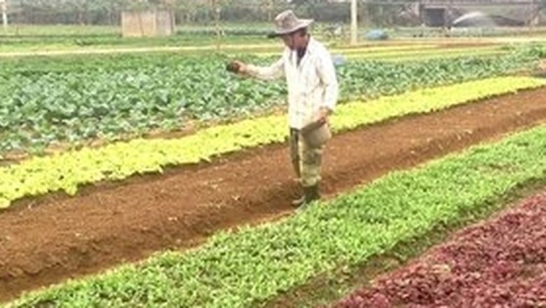 Đối tượng và điều kiện được hỗ trợ ổn định đời sống và sản xuất