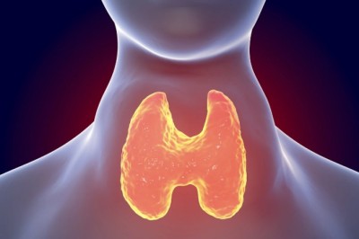 Tìm hiểu về Bệnh Basedow và Triệu chứng của nó