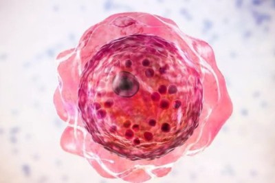 Đã tìm ra thuốc điều trị amip ăn não chết người