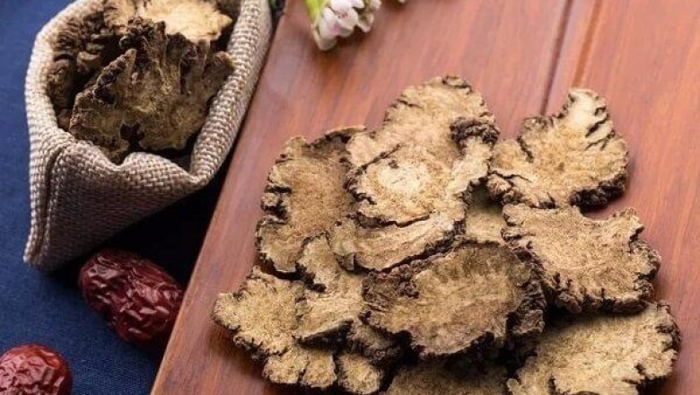 Bệnh đau đầu và cách dùng cây thuốc Xuyên khung hỗ trợ điều trị đau đầu