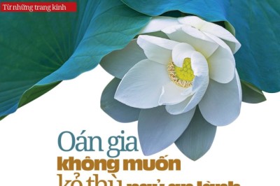 Oán gia không muốn kẻ thù ngủ an lành