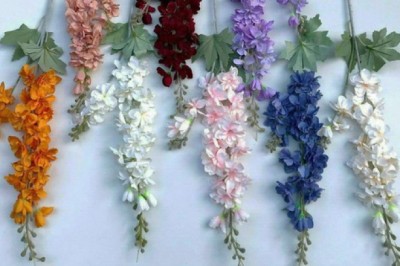 Loại hoa nhập khẩu gây 'sốt' có độc, một thời được dùng làm thuốc trừ sâu