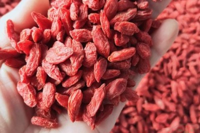 Cách sử dụng dược liệu kỷ tử tốt cho sức khỏe