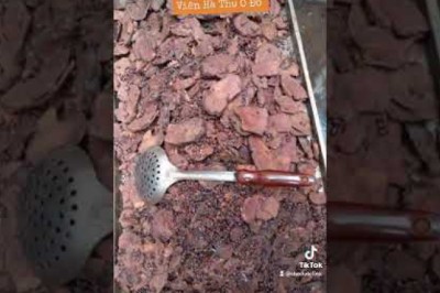 Hà thủ ô, viên hà thủ ô đỏ giúp cải thiện tóc bạc sớm, rụng tóc, hói đầu, mọc tóc