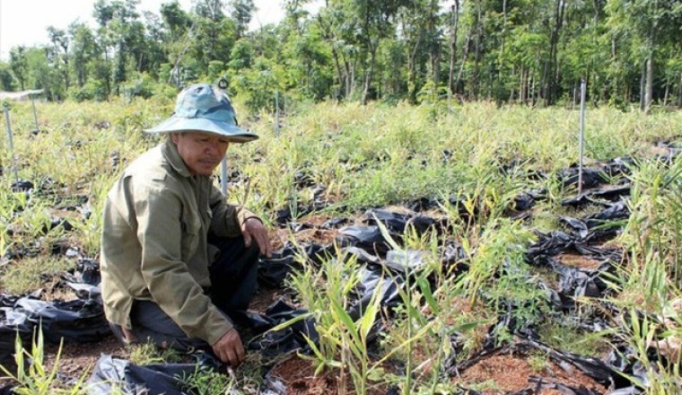 Ký hợp đồng liên kết bao tiêu nông sản rồi Bùng Cty Nông sản sạch Việt Nam bị công an điều tra