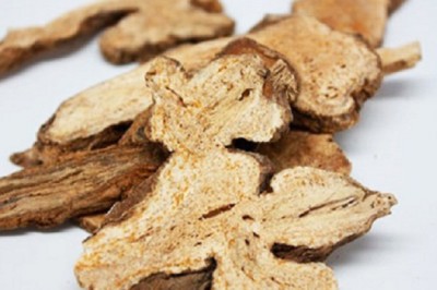 Vị thuốc Bạch truật giúp an thai, bổ máu