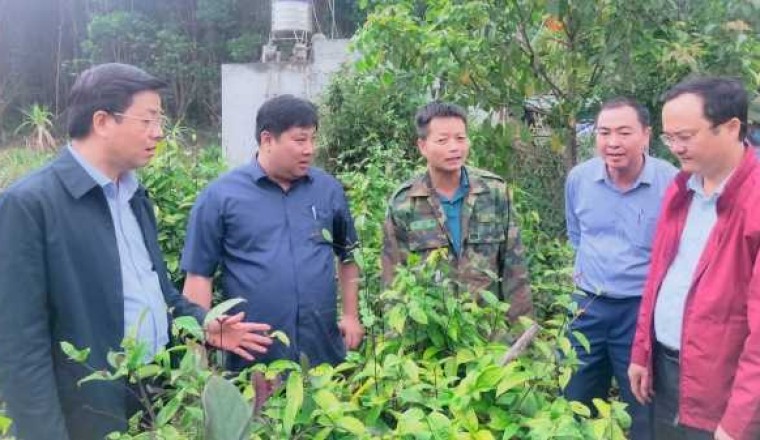 Cần những nghiên cứu bài bản về cây dược liệu