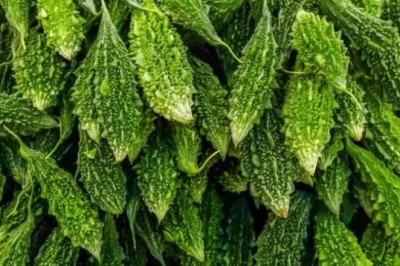 Mướp đắng, trà mướp đắng có lợi gì cho sức khoẻ mà nên thêm mướp đắng vào chế độ ăn uống hằng ngày?