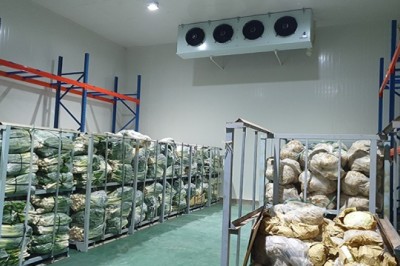 Hỗ trợ đầu tư cơ sở chế biến, nhà kho bảo quản nông sản tới 15 tỉ đồng/dự án