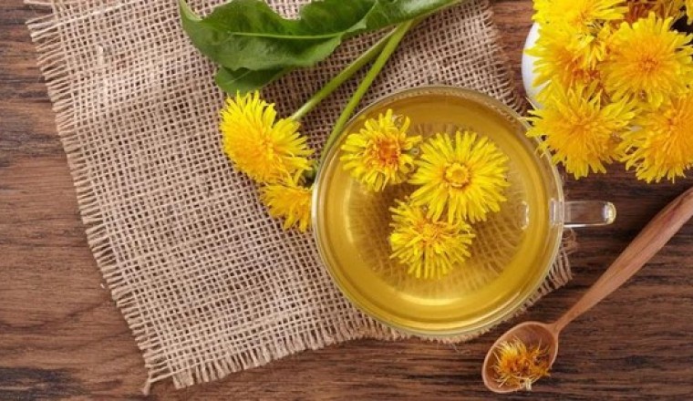 Loại trà hoa người Việt hay dùng có chất chống di căn ung thư