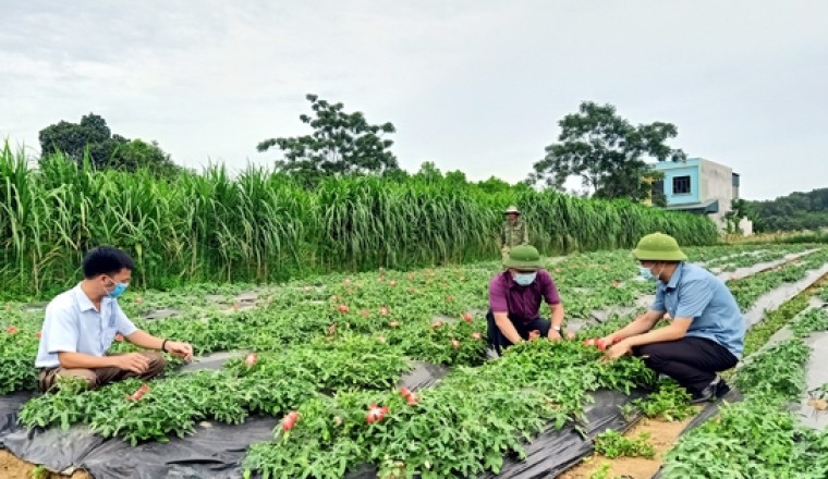 Bước ngoặt của y học cổ truyền Việt Nam