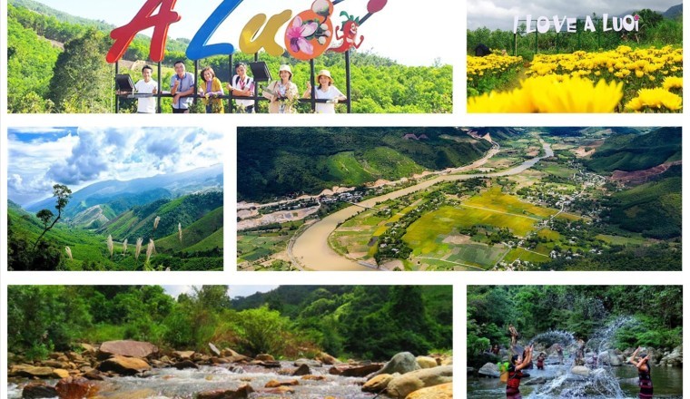 A lưới Thừa Thiên Huế tham vọng trồng 360ha đủ loại cây thuốc quý, hiếm