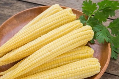 Loại bắp non quen thuộc này đây lại là siêu thực phẩm cho bệnh nhân tiểu đường