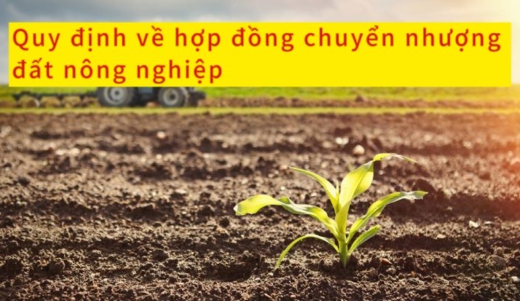 Quy định về hợp đồng chuyển nhượng đất nông nghiệp