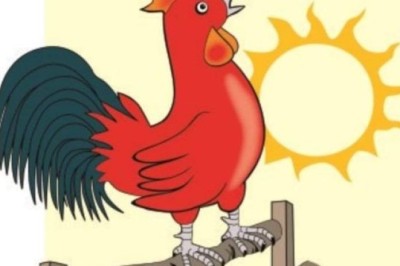 Tại sao gà trống luôn gáy đúng giờ mỗi ngày?