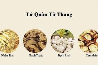 Bài thuốc 'Tứ quân tử thang', 'Lục quân tử thang', 'Lục vị địa hoàng thang', 'Tri bá địa hoàng thang' đây là 4 bài thuốc hỗ trợ phục hồi di chứng viêm não