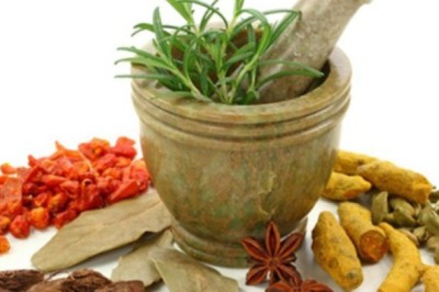 Thu hồi giấy phép kinh doanh của Công ty Cổ phần Dược liệu Việt Nam