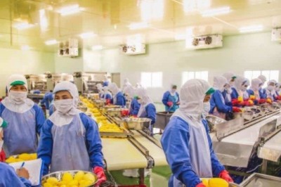 Doanh nghiệp cần làm gì để đạt chứng nhận Halal để xuất khẩu hàng hoá sang các nước Hồi giáo