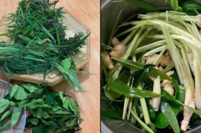 Bài thuốc nam chữa Cảm Lạnh đã lưu truyền trong dân gian từ thời ông cha