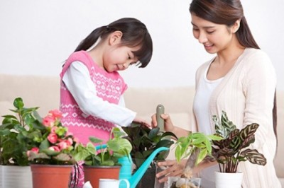 2 đặc điểm dự báo tương lai của trẻ chính xác hơn điểm số và giải thưởng: Điều thứ 2 hầu như bị bỏ qua