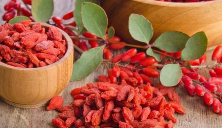 Cách dùng kỷ tử chống oxy hóa kiềm chế suy nhược chức năng ở người cao tuổi