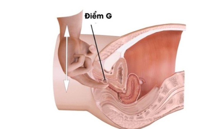 Tìm vị trí 'điểm G' tạo nên cực khoái ở nữ giới