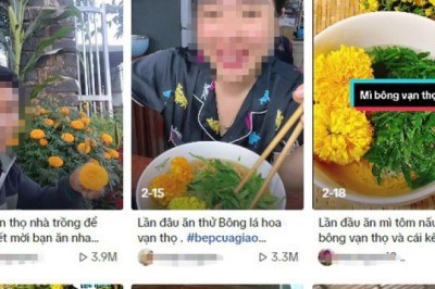 Độc hại của trào lưu sử dụng hoa cúc làm rau ăn