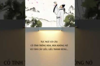 TỤC NGỮ CÓ CÂU CỐ TÌNH TRỒNG HOA, HOA KHÔNG NỞ VÔ TÂM CẤY LIỄU, LIỄU THÀNH RỪNG (codo.vn)
