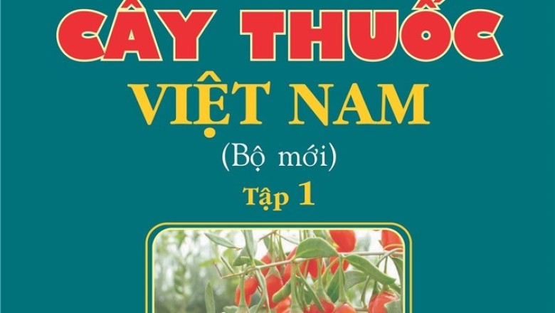 Khám Phá Bí Mật Của Tự Nhiên Với 'Từ Điển Cây Thuốc Việt Nam' - Tác phẩm Bất Hủ của Giáo Sư Võ Văn Chi