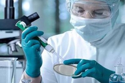 Cây Thuốc Nam Và Khoa Học Hiện Đại: Sự Giao Thoa Giữa Truyền Thống và Công Nghệ