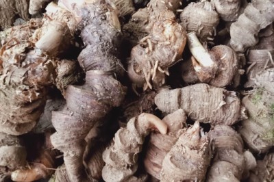 Cây Trọng lâu, Hươu túc nhiều lá, thất diệp nhất chi hoa, độc cước liên, thiết đăng đài, chi hoa đầu, tảo hưu, thảo hà xa